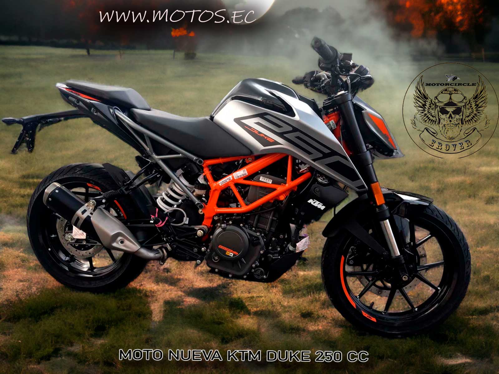 imagen de moto Motos Ktm Duke 250